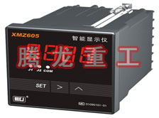 溫度表、數(shù)字顯示儀、濕度表